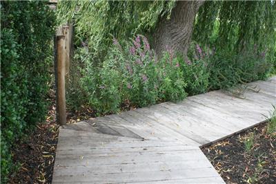 Tuinarchitect Ilse De Schuyter Essen